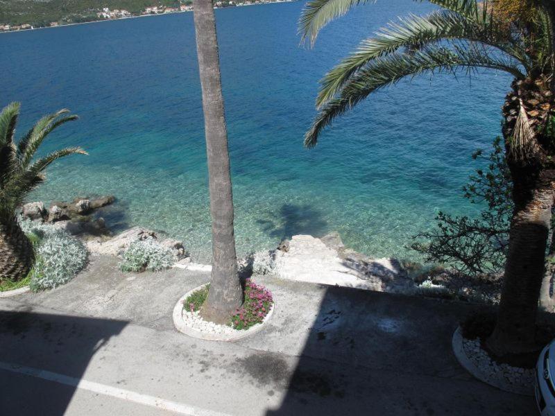 Apartments Jasmina Korcula Town Ruang foto